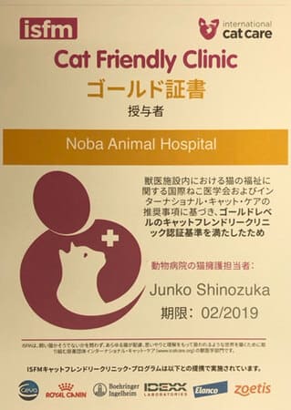 Cat Friendly Clinicゴールド証書